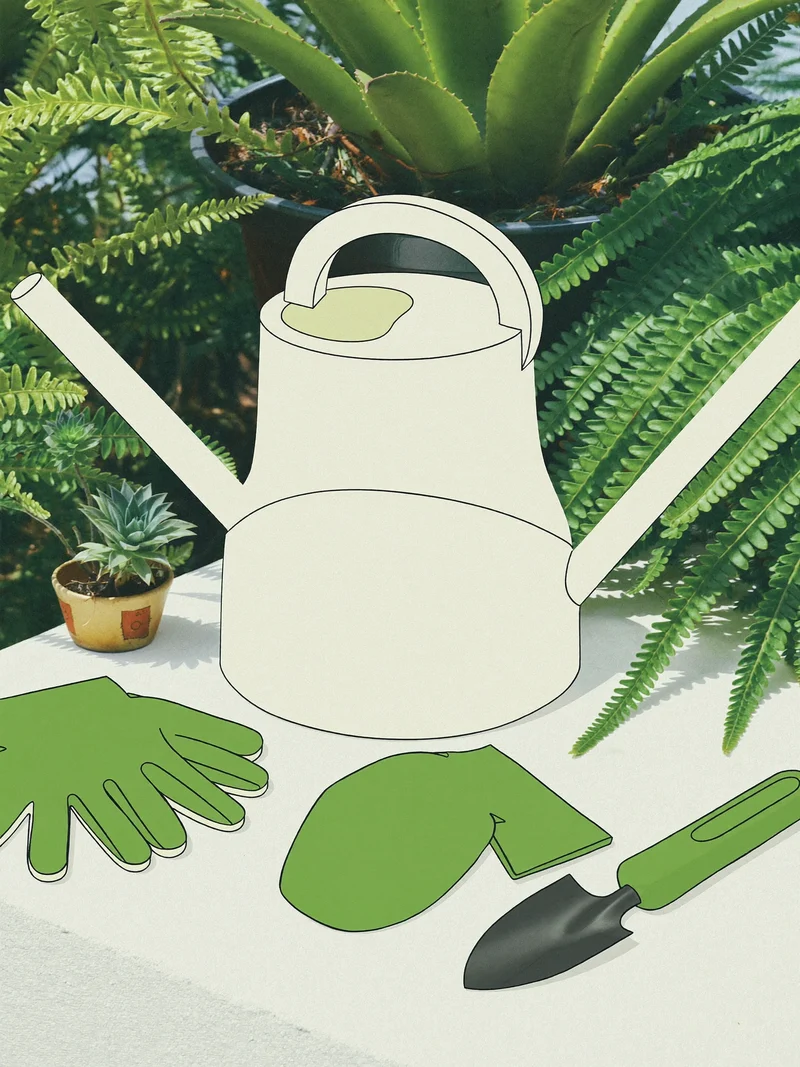 Ilustracja koncepcji kompletu do podlewania i pielęgnacji